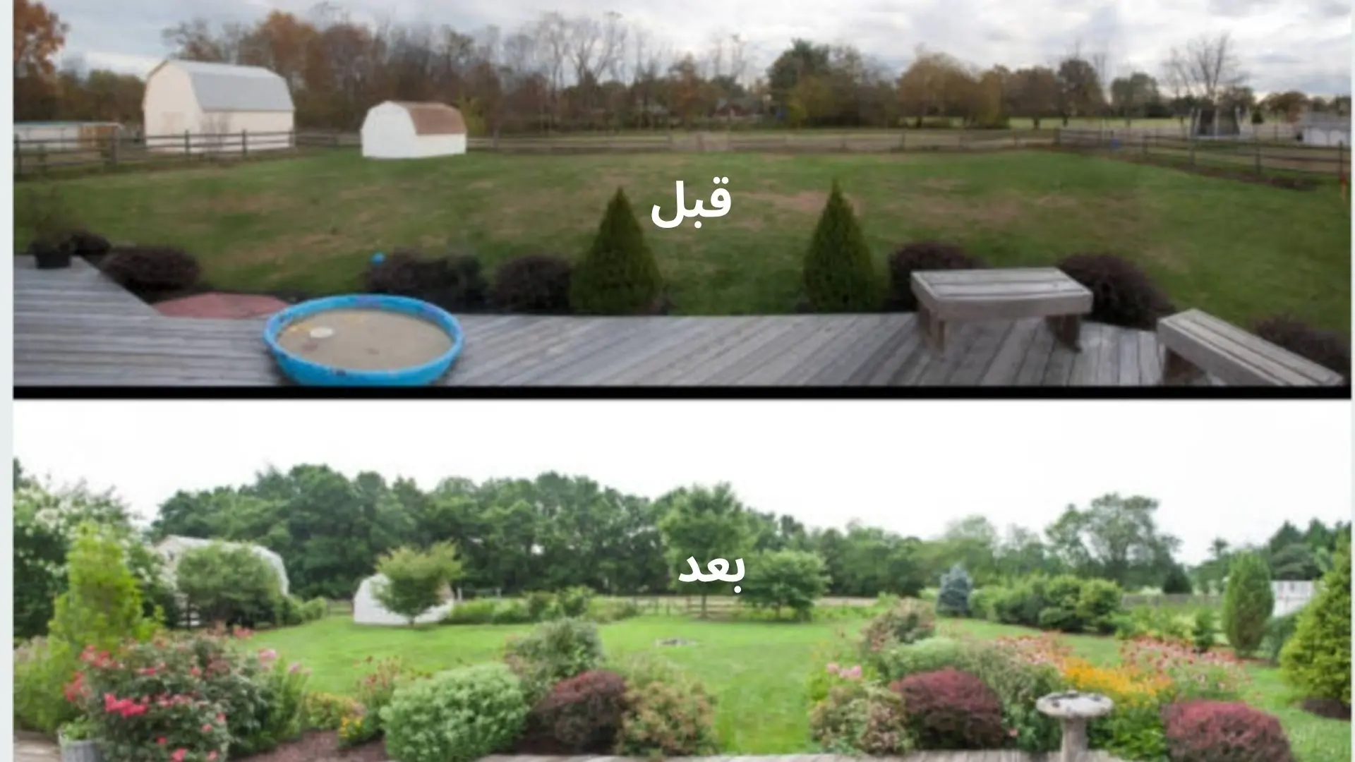 شركة تنسيق حدائق بالرياض