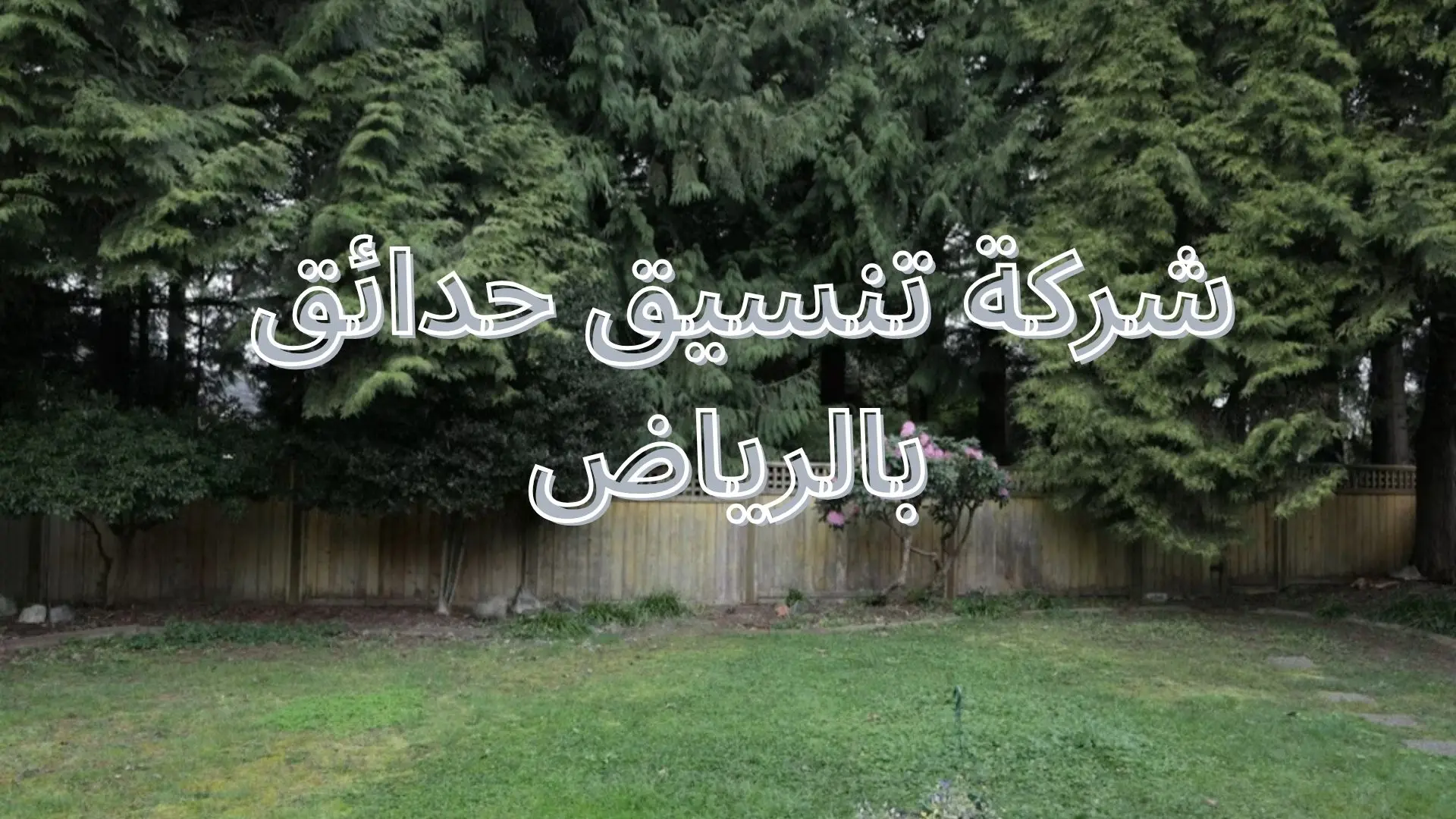 شركة تنسيق حدائق بالرياض