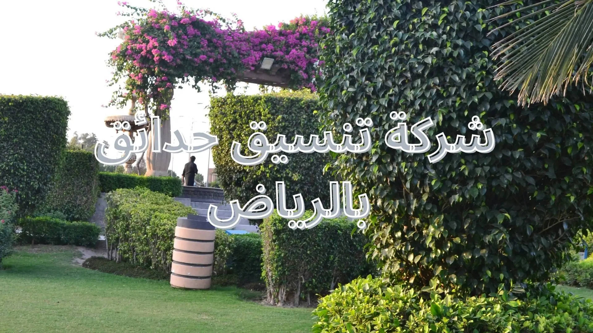 شركة تنسيق حدائق بالرياض